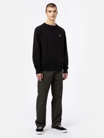 Худі та світшоти Dickies Mount Vista модель DK0A4XPPBLK1 Фото