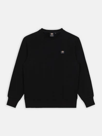 Худі та світшоти Dickies Mount Vista модель DK0A4XPPBLK1 Фото