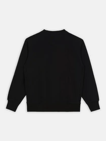 Худі та світшоти Dickies Mount Vista модель DK0A4XPPBLK1 Фото