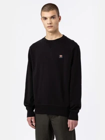 Худі та світшоти Dickies Mount Vista модель DK0A4XPPBLK1 Фото