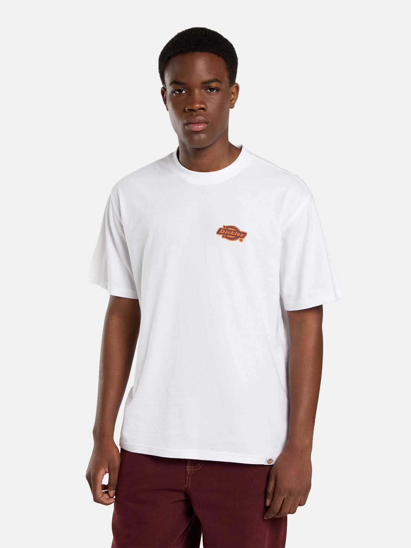 Футболки і поло Dickies GRAYSVILLE модель DK0A87QQ0WH1 Футболки і поло Dickies GRAYSVILLE модель DK0A87QQ0WH1 Фото