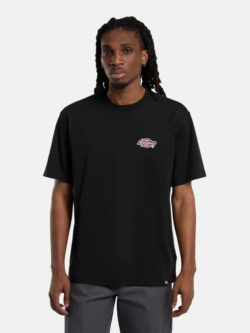 Футболки і поло Dickies GRAYSVILLE модель DK0A87QQBLK1 Фото