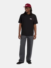Футболки и поло Dickies GRAYSVILLE модель DK0A87QQBLK1 Фото