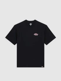 Футболки и поло Dickies GRAYSVILLE модель DK0A87QQBLK1 Фото