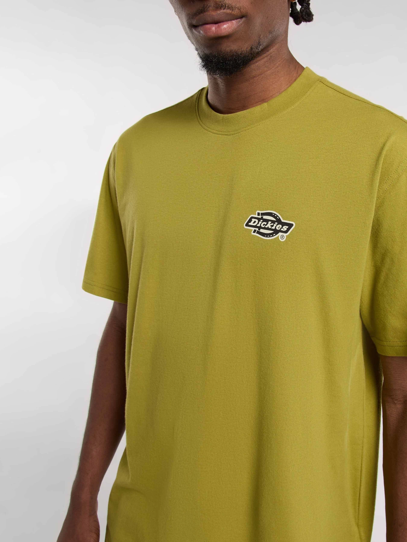 Футболки и поло Dickies GRAYSVILLE модель DK0A87QQL201 Фото