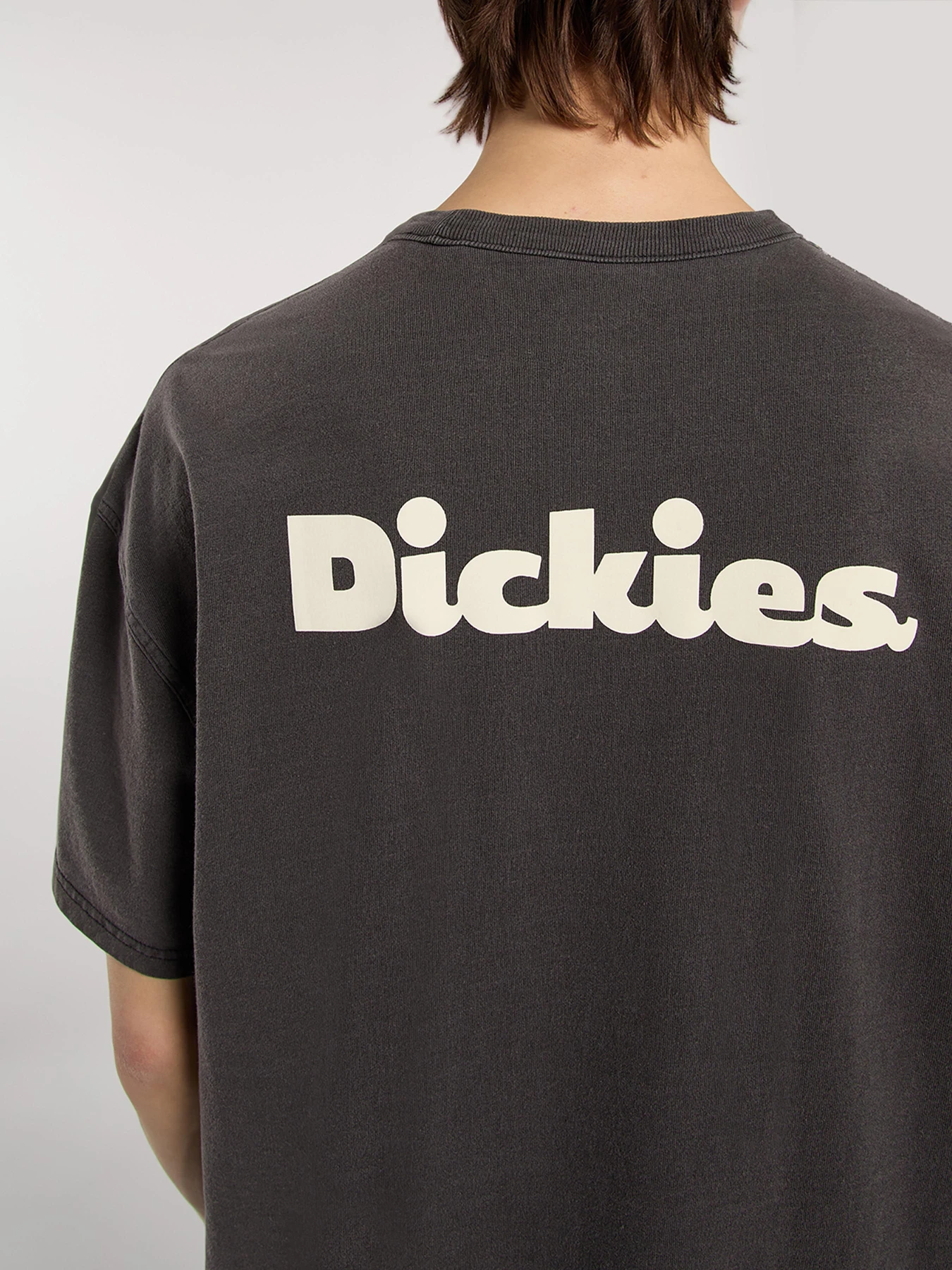 Футболки и поло Dickies Slayden Gd модель DK0A87QRBLK1 Фото