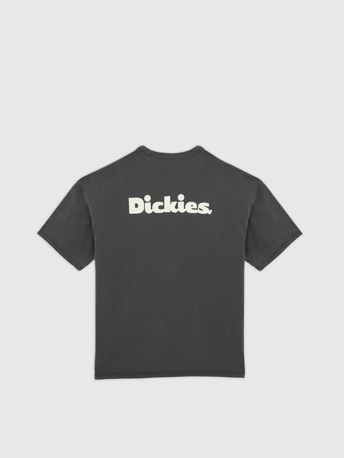 Футболки и поло Dickies Slayden Gd модель DK0A87QRBLK1 Фото