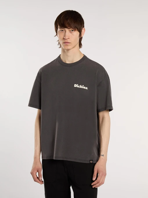 Футболки і поло Dickies Slayden Gd модель DK0A87QRBLK1 Фото