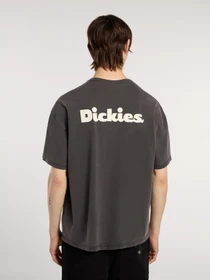 Футболки и поло Dickies Slayden Gd модель DK0A87QRBLK1 Фото