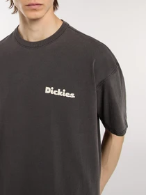 Футболки и поло Dickies Slayden Gd модель DK0A87QRBLK1 Фото