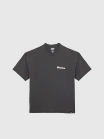 Футболки и поло Dickies Slayden Gd модель DK0A87QRBLK1 Фото