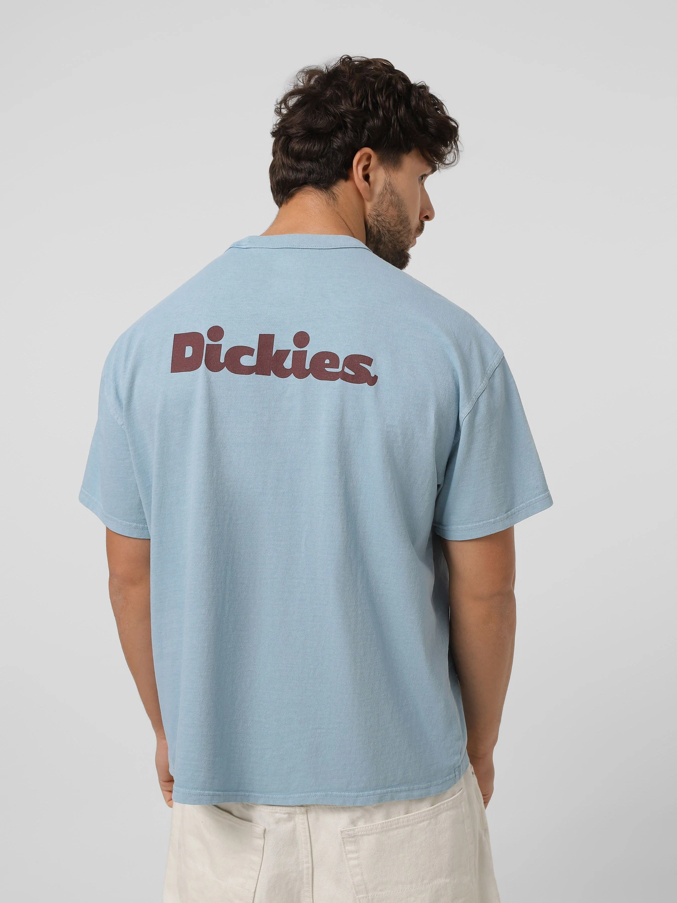 Футболки и поло Dickies SLAYDEN модель DK0A87QRK661 Фото