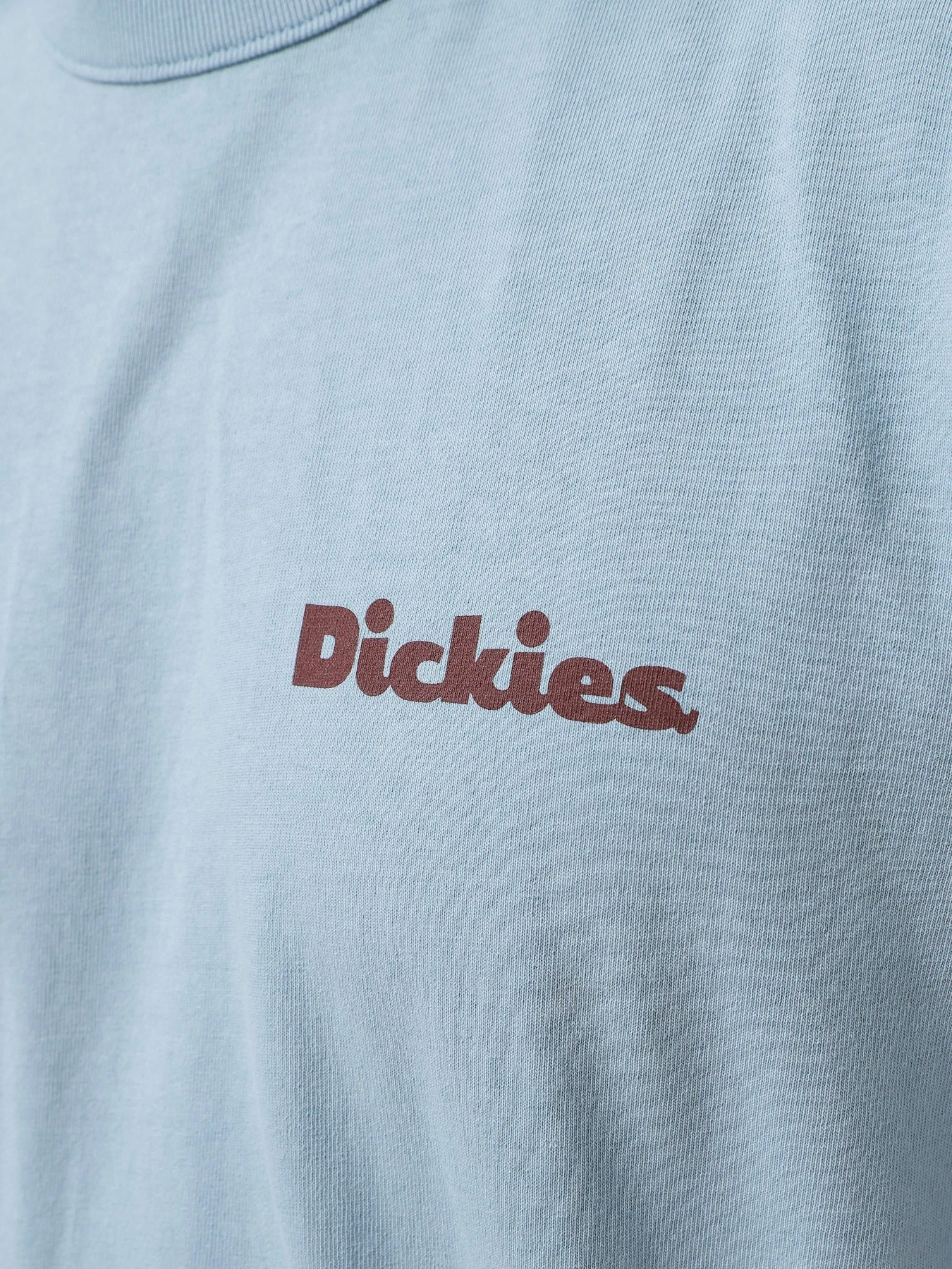Футболки и поло Dickies SLAYDEN модель DK0A87QRK661 Фото