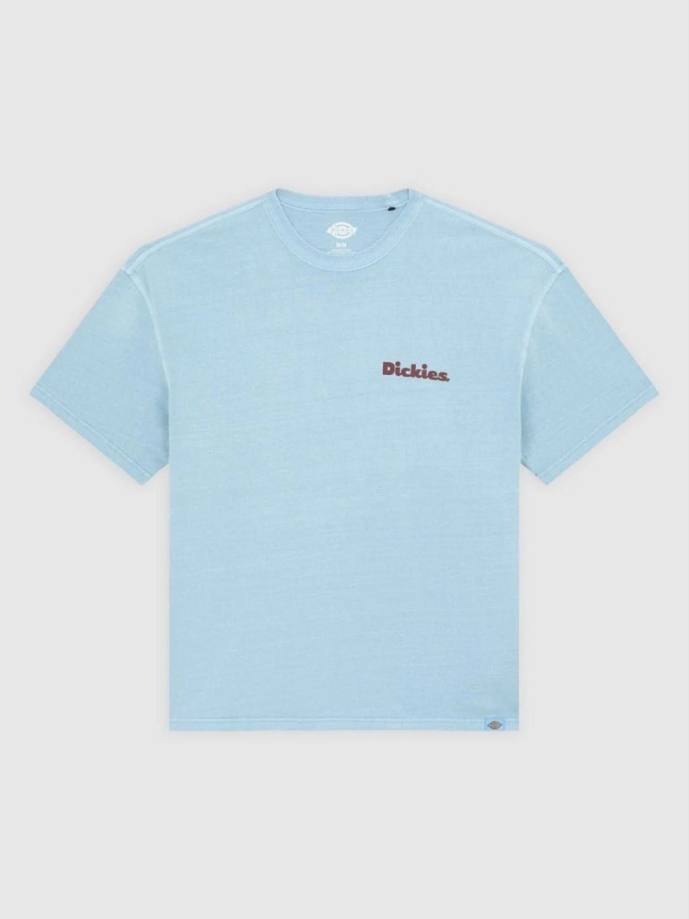 Футболки и поло Dickies SLAYDEN модель DK0A87QRK661 Фото