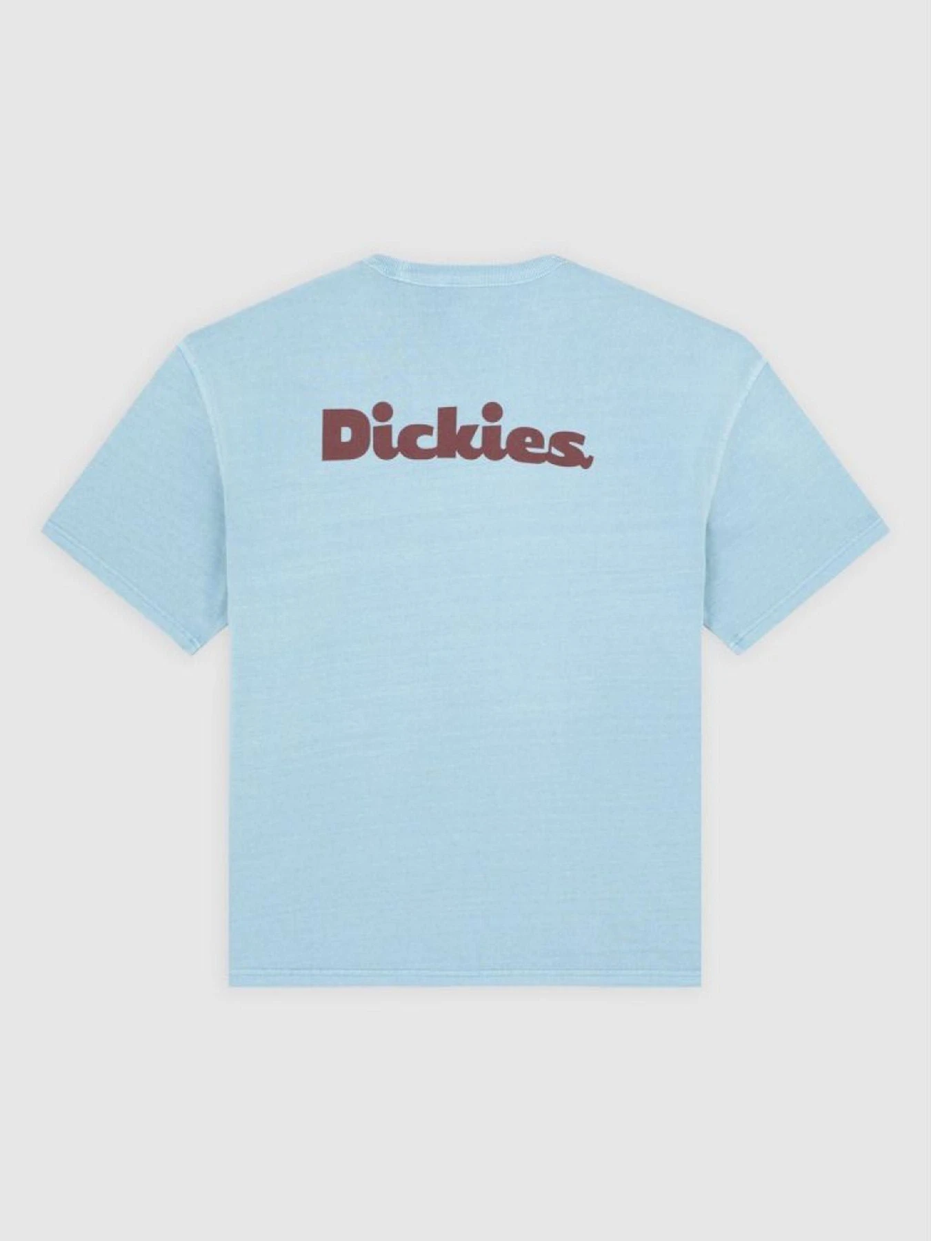 Футболки и поло Dickies SLAYDEN модель DK0A87QRK661 Фото