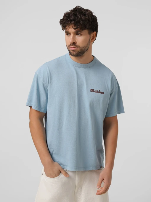 Футболки і поло Dickies SLAYDEN модель DK0A87QRK661 Фото