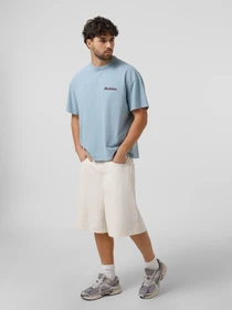 Футболки и поло Dickies SLAYDEN модель DK0A87QRK661 Фото