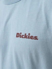 Футболки и поло Dickies SLAYDEN модель DK0A87QRK661 Фото