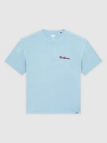 Футболки и поло Dickies SLAYDEN модель DK0A87QRK661 Фото
