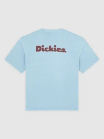 Футболки и поло Dickies SLAYDEN модель DK0A87QRK661 Фото