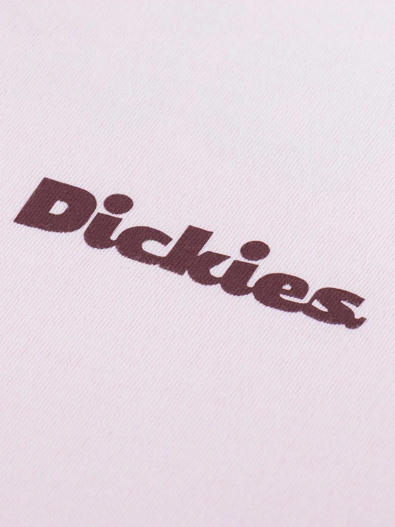 Футболки и поло Dickies Slayden модель DK0A87QRK731 Фото