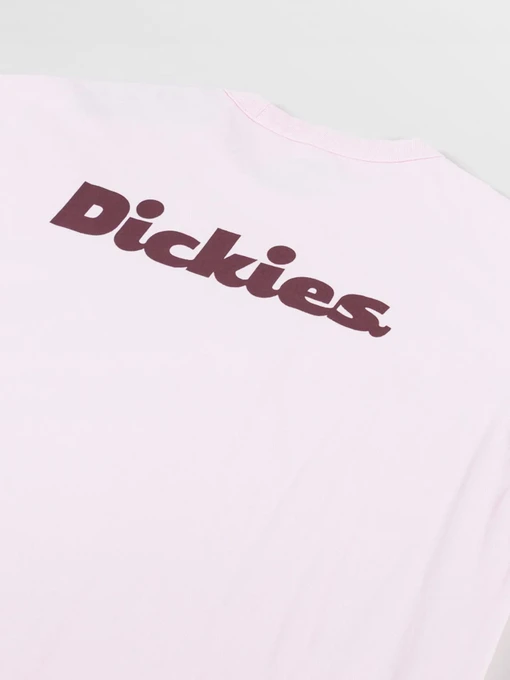 Футболки і поло Dickies Slayden модель DK0A87QRK731 Фото