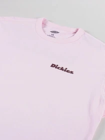 Футболки и поло Dickies Slayden модель DK0A87QRK731 Фото