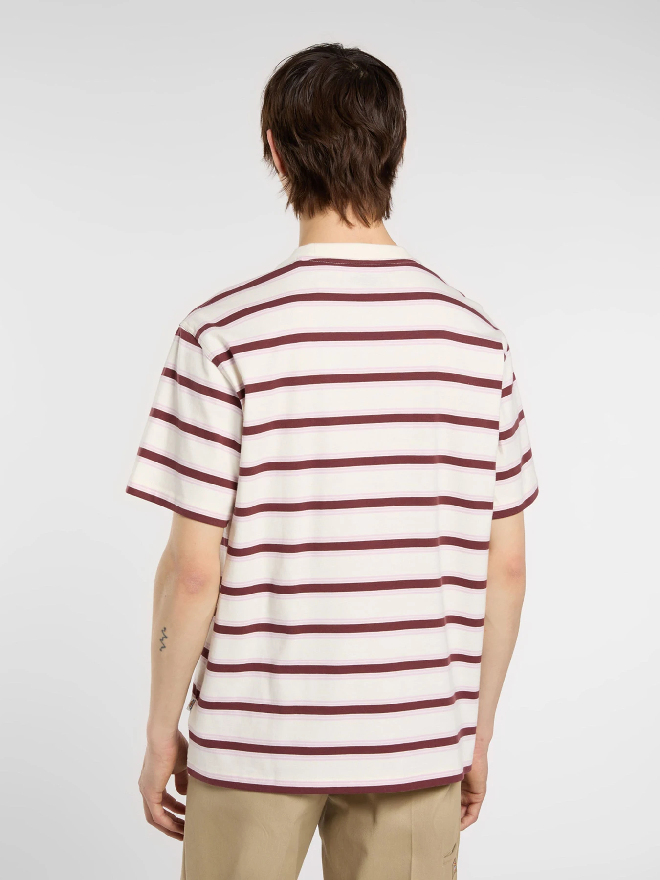 Футболки і поло Dickies York Stripe модель DK0A87QVC481 Футболки і поло Dickies York Stripe модель DK0A87QVC481 Фото