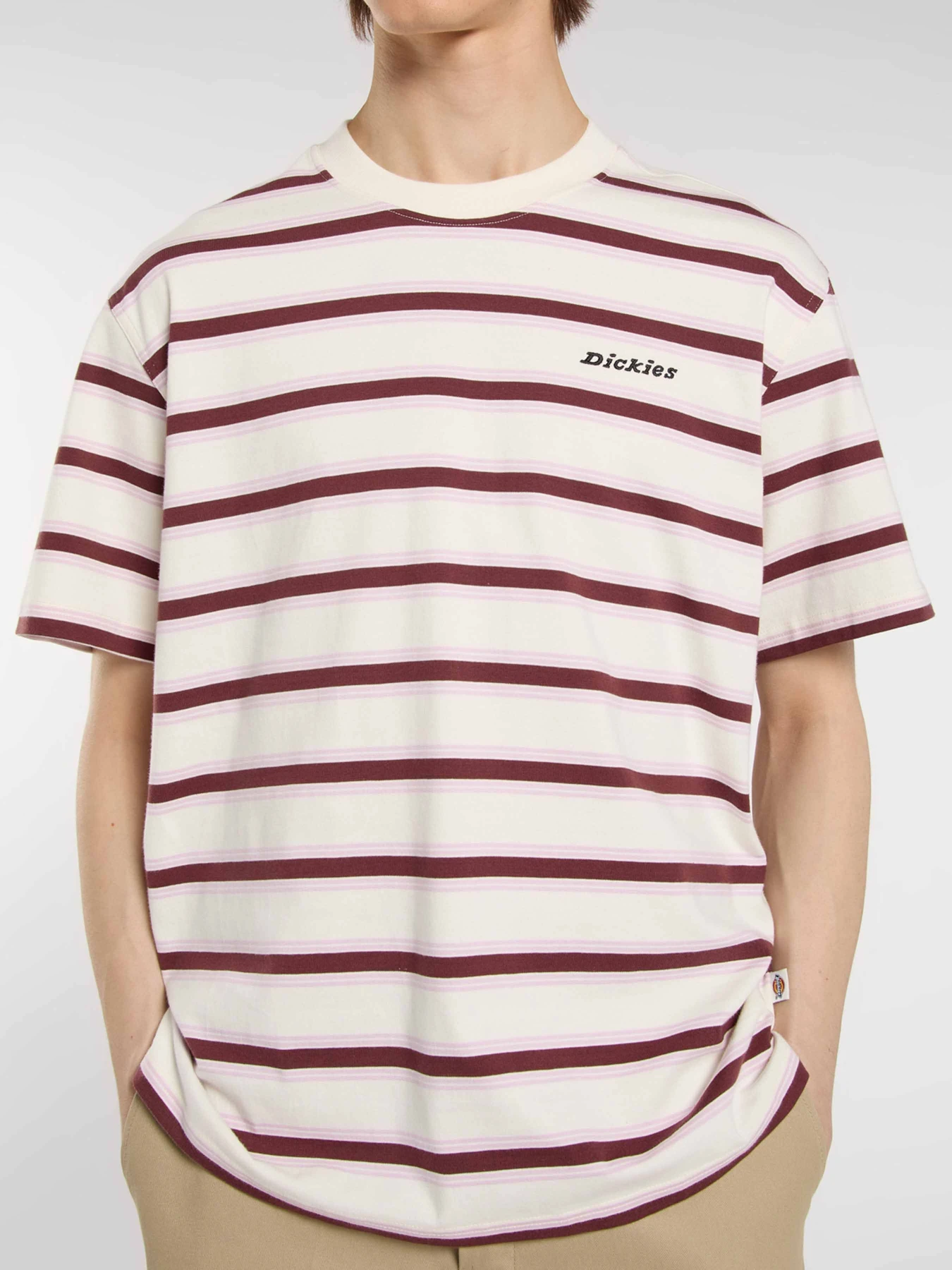 Футболки і поло Dickies York Stripe модель DK0A87QVC481 Футболки і поло Dickies York Stripe модель DK0A87QVC481 Фото