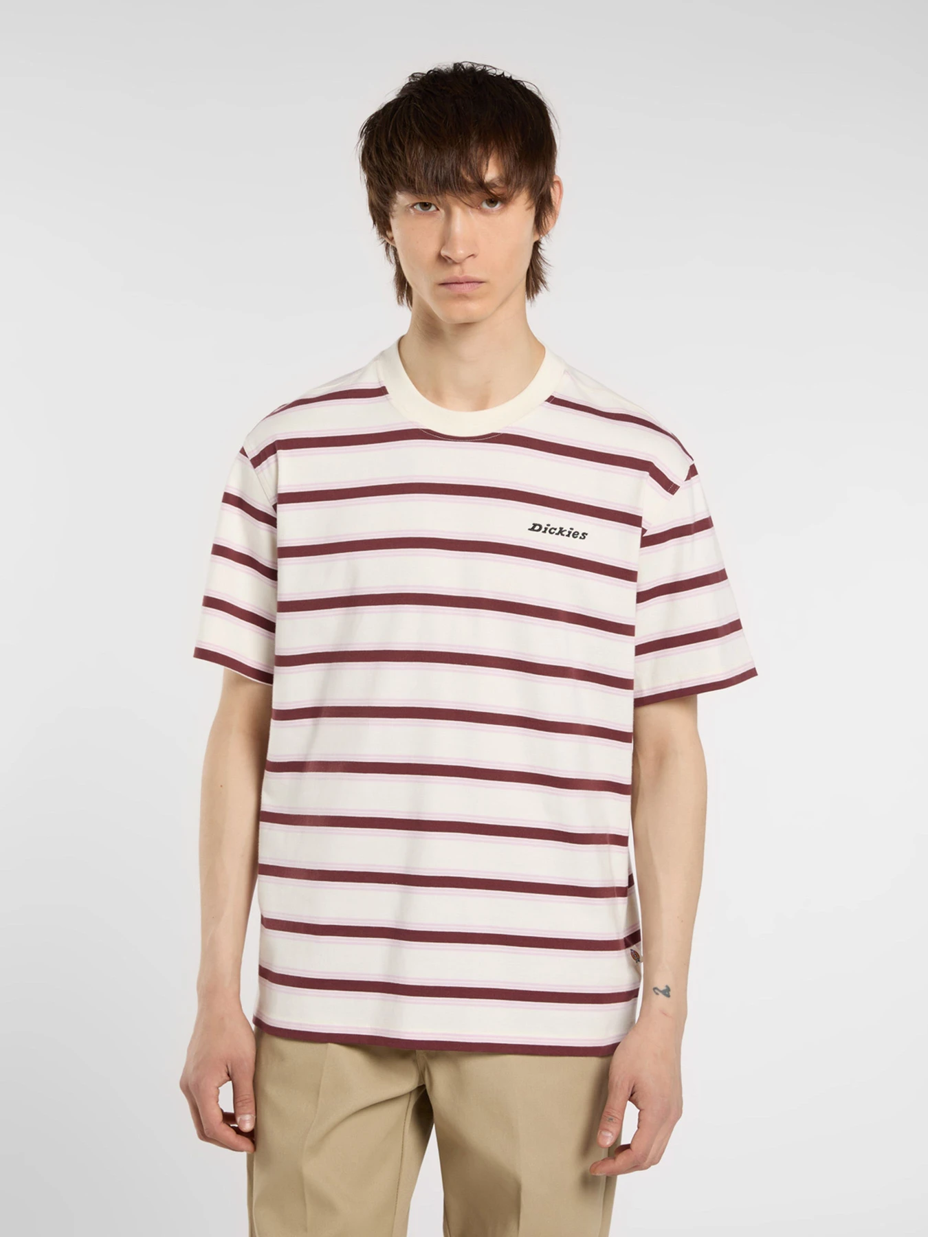 Футболки і поло Dickies York Stripe модель DK0A87QVC481 Футболки і поло Dickies York Stripe модель DK0A87QVC481 Фото