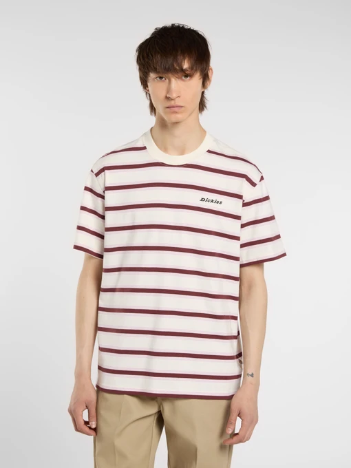 Футболки і поло Dickies York Stripe модель DK0A87QVC481 Фото