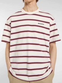 Футболки і поло Dickies York Stripe модель DK0A87QVC481 Фото