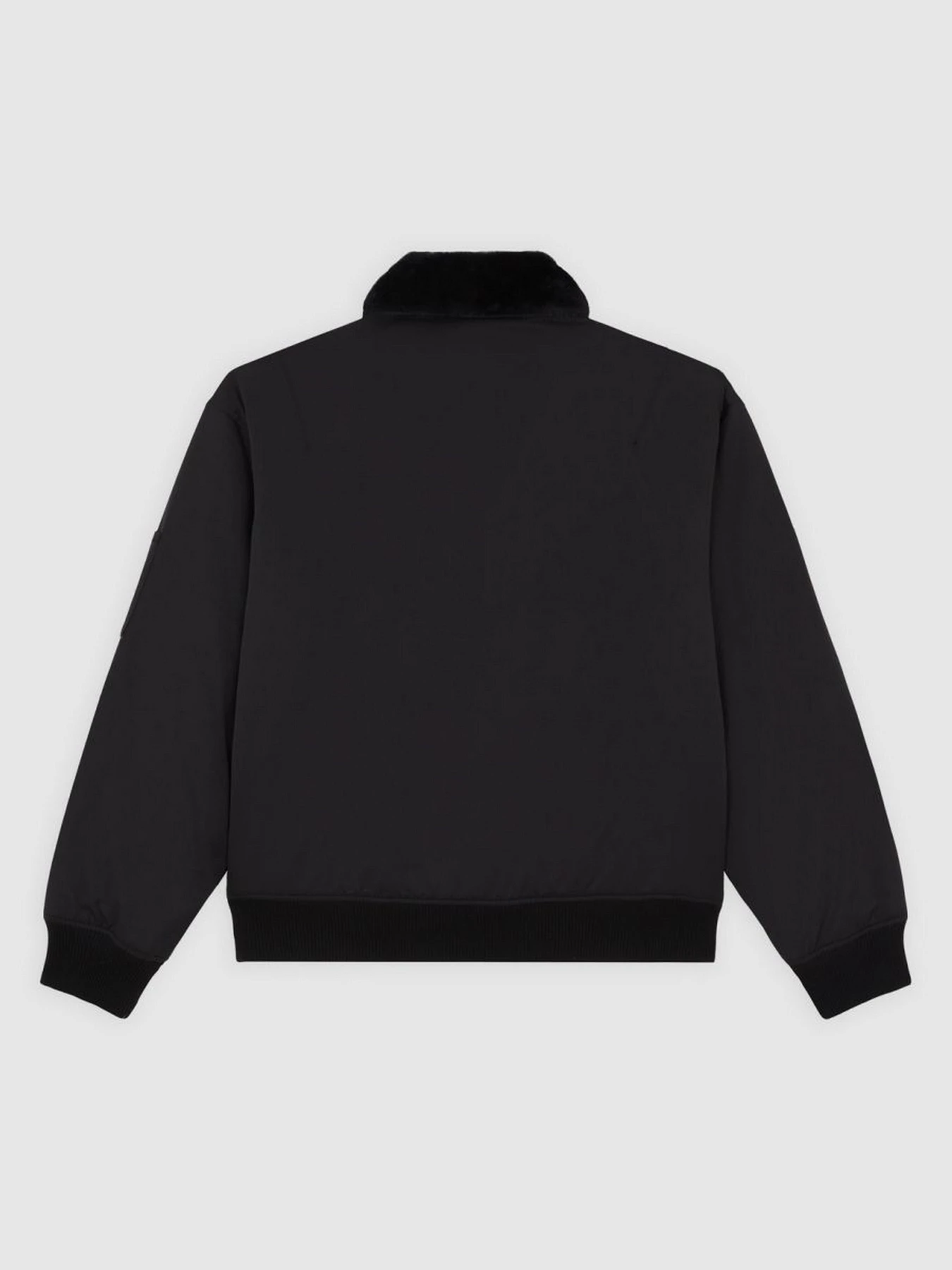 Куртки и дубленки Dickies COALFIELD FLIGHT JACKET модель DK0A88BMBLK1 Куртки и дубленки Dickies COALFIELD FLIGHT JACKET модель DK0A88BMBLK1 Фото