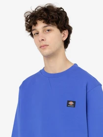 Худи и свитшоты Dickies Mount Vista модель DK0A4XPPE871 Фото