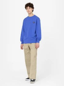 Худи и свитшоты Dickies Mount Vista модель DK0A4XPPE871 Фото