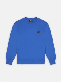Худи и свитшоты Dickies Mount Vista модель DK0A4XPPE871 Фото