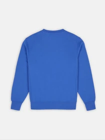 Худи и свитшоты Dickies Mount Vista модель DK0A4XPPE871 Фото