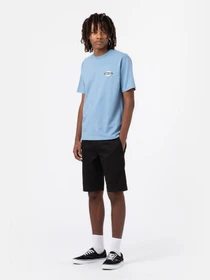 Шорты Dickies Slim Work Short Flex модель DK0A4XPQBLK1 Фото