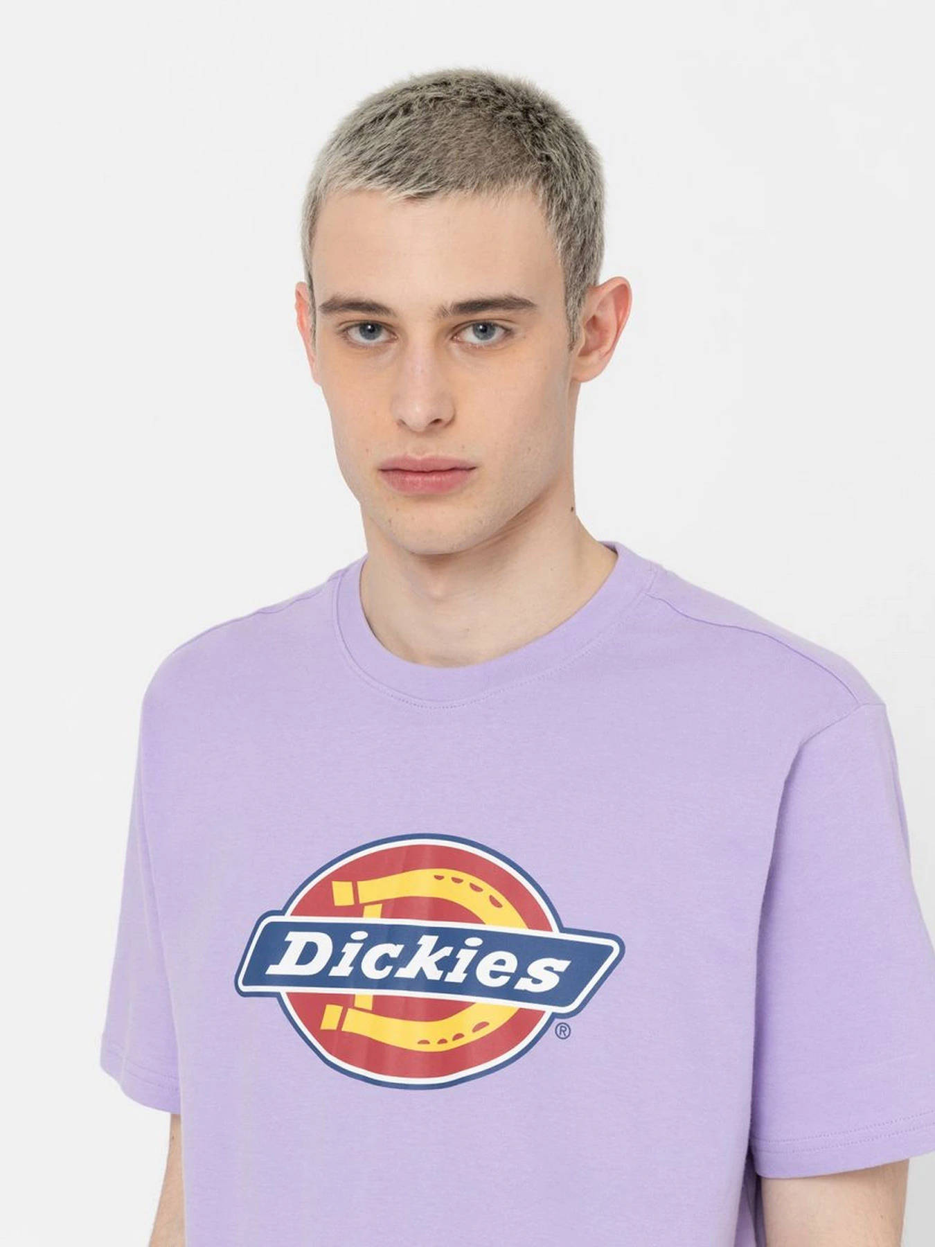 Футболки і поло Dickies Icon Logo модель DK0A4XC9E611 Фото