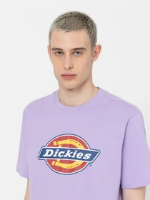 Футболки і поло Dickies Icon Logo модель DK0A4XC9E611 Фото