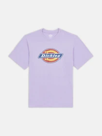 Футболки і поло Dickies Icon Logo модель DK0A4XC9E611 Фото