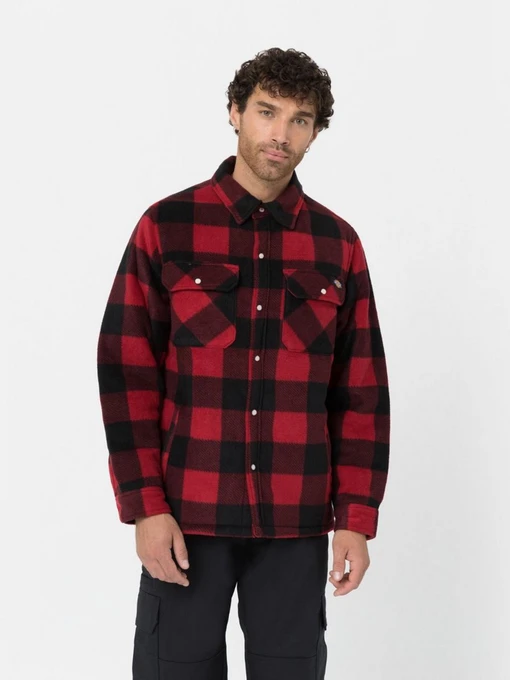 Рубашки Dickies Portland модель DK0A4XTARDX1 Фото