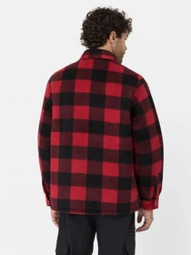 Сорочки Dickies Portland модель DK0A4XTARDX1 Фото