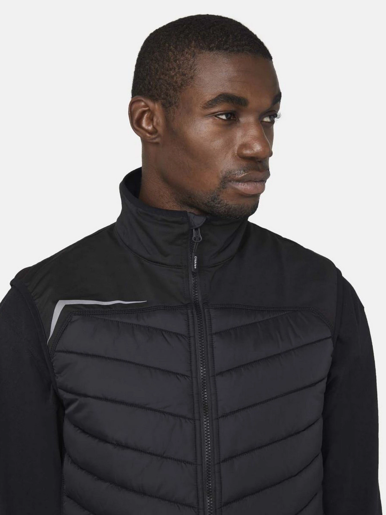 Куртки и дубленки Dickies Generation Hybrid Bodywarmer модель DK0A4XTDBLK1 Фото