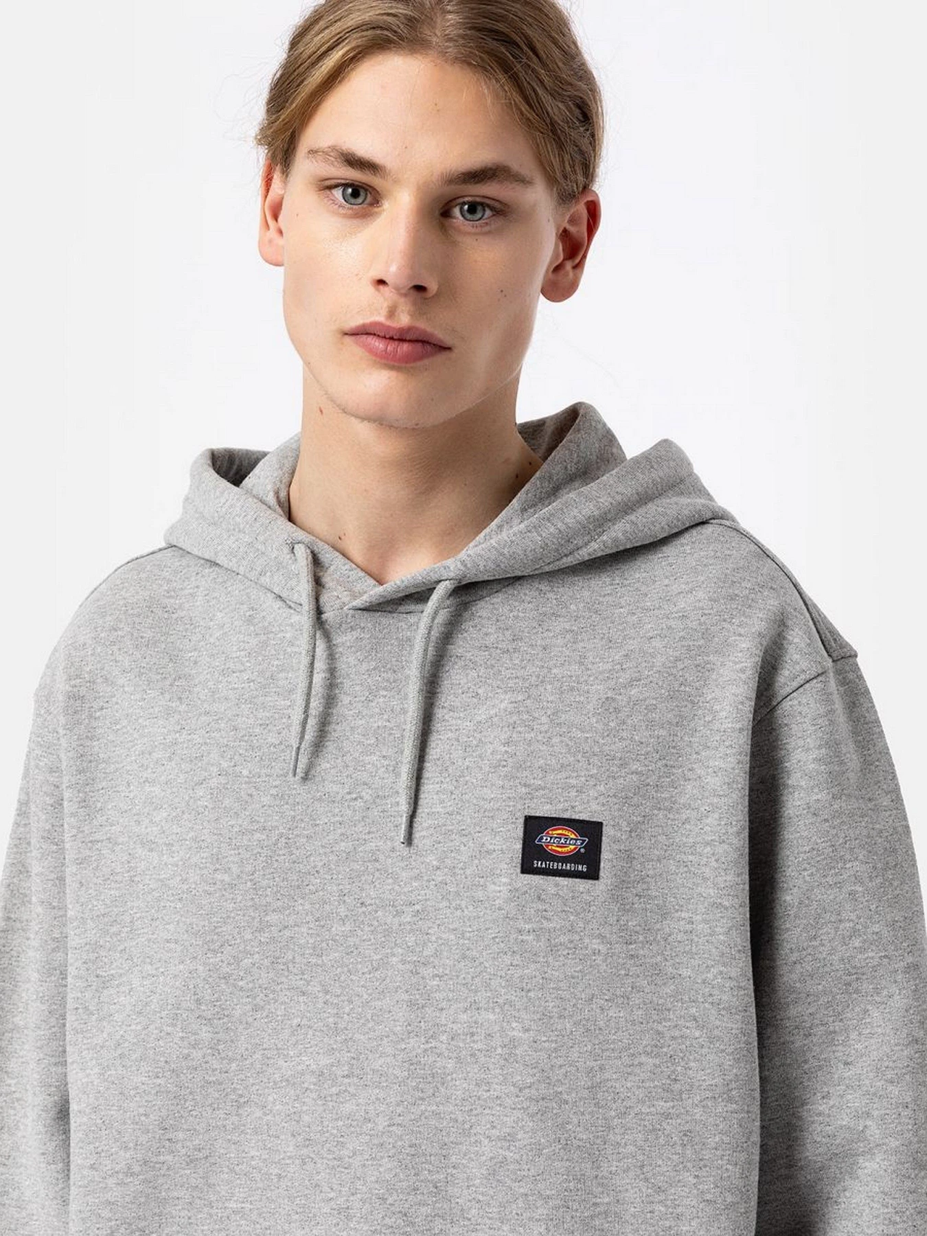 Худі та світшоти Dickies Mount Vista модель DK0A4XYOGYM1 Худі та світшоти Dickies Mount Vista модель DK0A4XYOGYM1 Фото