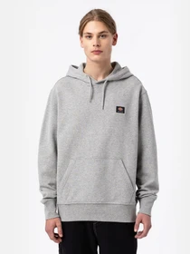 Худі та світшоти Dickies Mount Vista модель DK0A4XYOGYM1 Фото