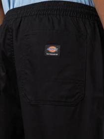 Штани Dickies Mount Vista модель DK0A4Y22BLK1 Фото