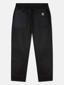 Штани Dickies Mount Vista модель DK0A4Y22BLK1 Фото