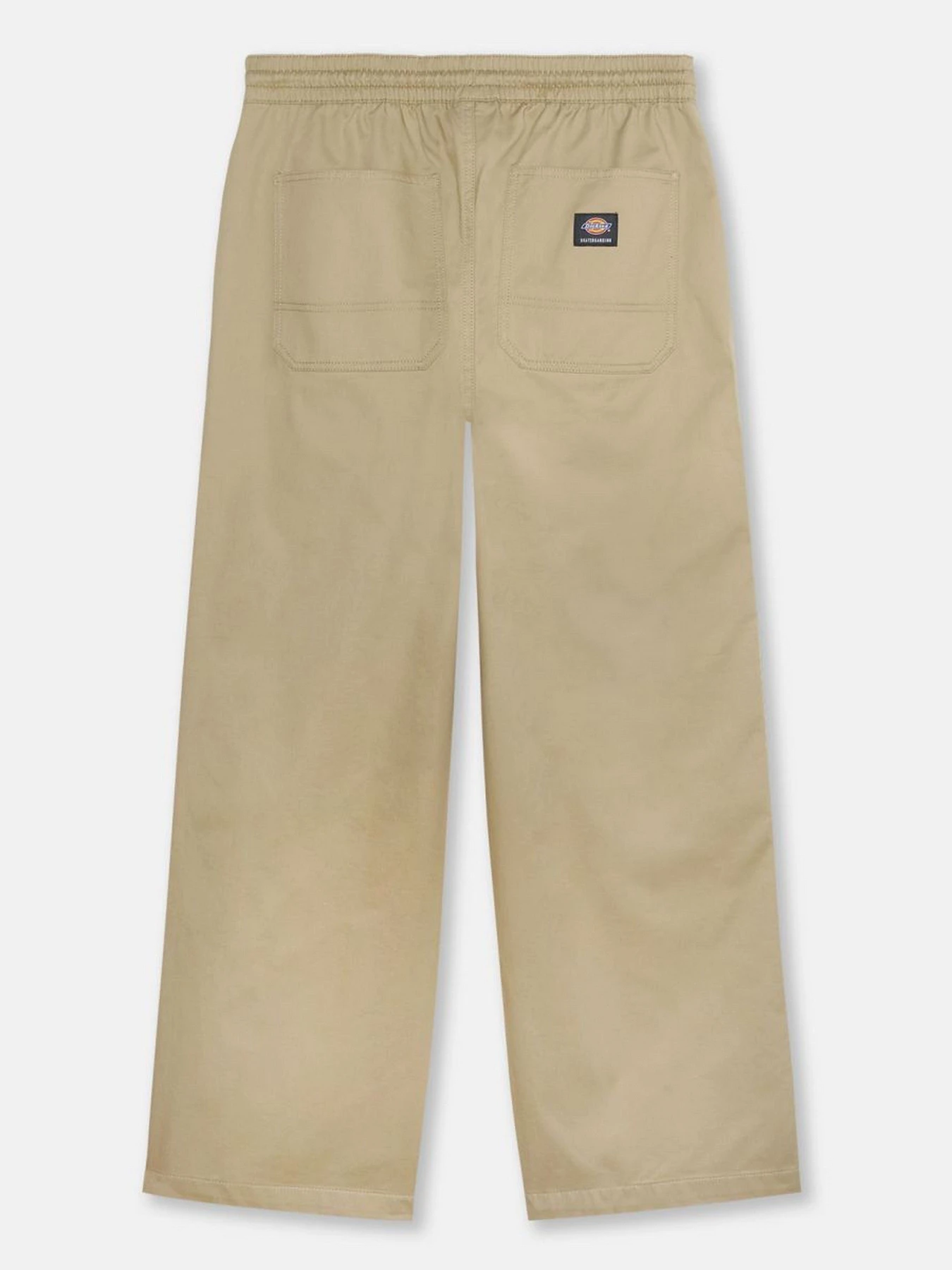 Брюки Dickies Mount Vista модель DK0A4Y22KHK1 Брюки Dickies Mount Vista модель DK0A4Y22KHK1 Фото