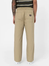 Брюки Dickies Mount Vista модель DK0A4Y22KHK1 Фото
